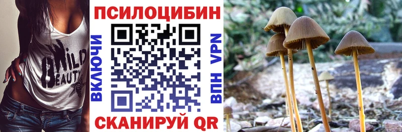 купить наркотик  Нижние Серги  Галлюциногенные грибы ЛСД 